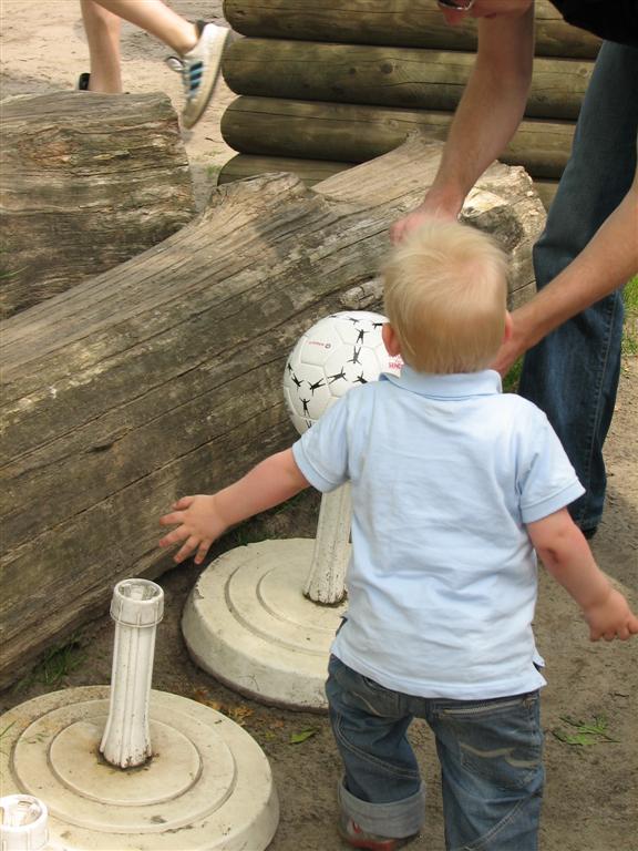 IMG_6058 (Large).jpg